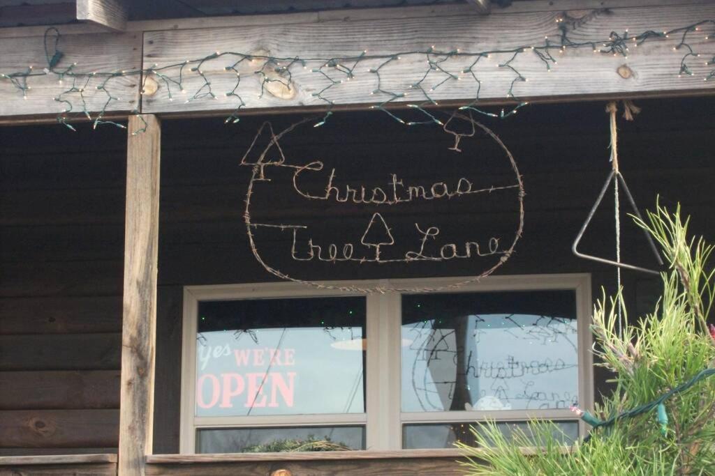 Rural Life On A Real Christmas Tree Farm! Hallmark Experience! Ozark المظهر الخارجي الصورة