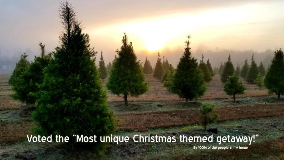 Rural Life On A Real Christmas Tree Farm! Hallmark Experience! Ozark المظهر الخارجي الصورة