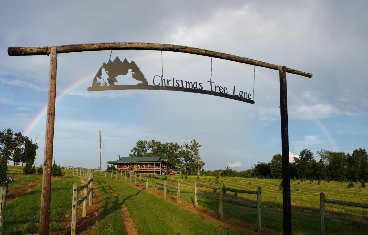 Rural Life On A Real Christmas Tree Farm! Hallmark Experience! Ozark المظهر الخارجي الصورة