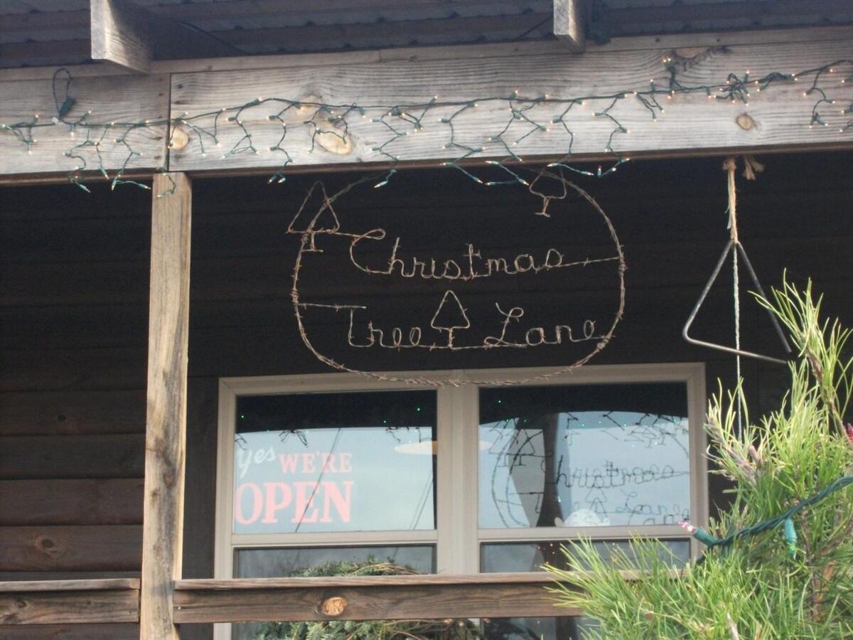 Rural Life On A Real Christmas Tree Farm! Hallmark Experience! Ozark المظهر الخارجي الصورة